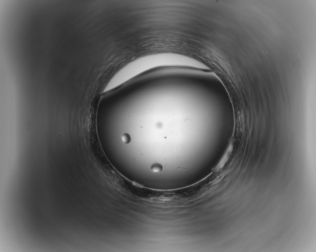 X0000093620412200710221550