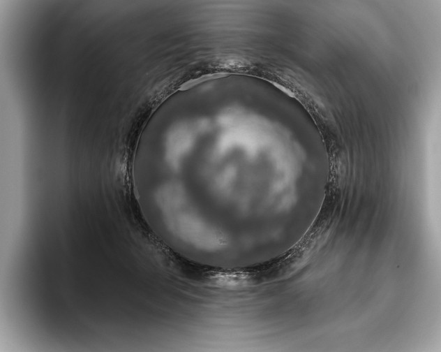 X0000093620415200710221550