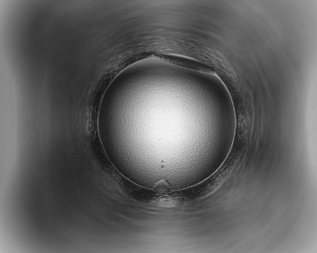 X0000093620416200710221550