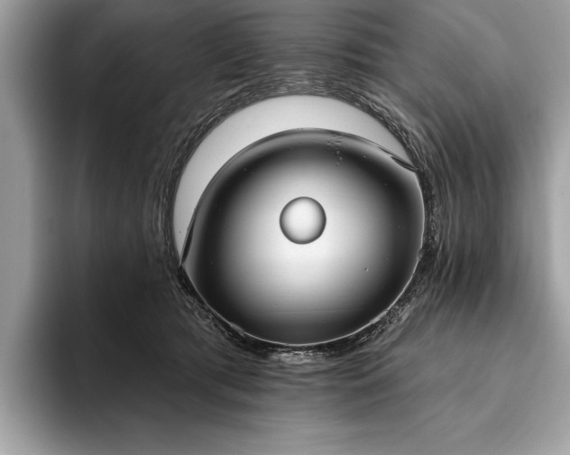 X0000093620417200710221550