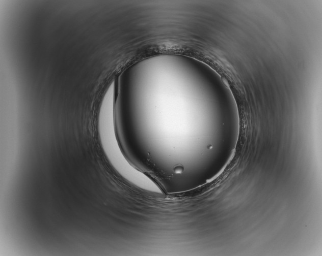X0000093620419200710221550