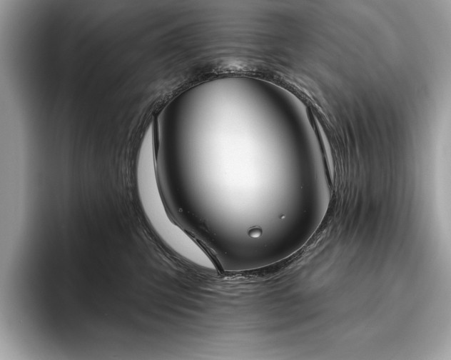 X0000093620423200710221550