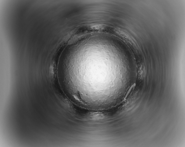 X0000093620424200710221550