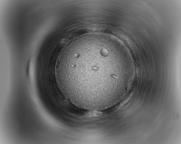 X0000093620429200710221550