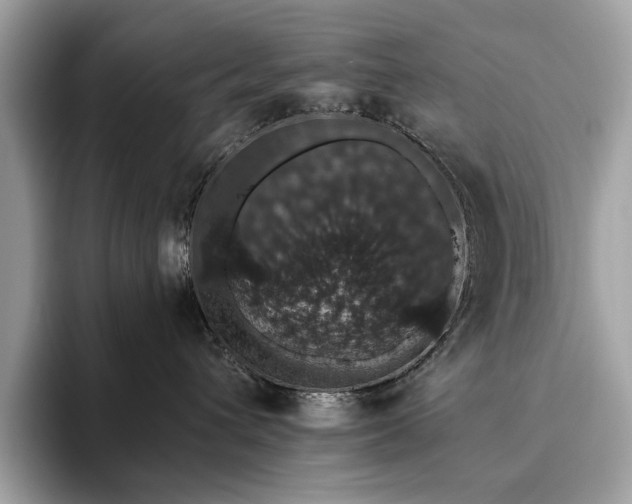 X0000093620432200710221550