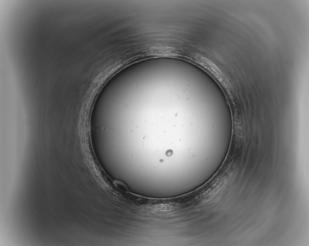 X0000093620433200710221549