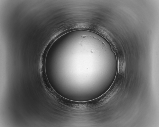 X0000093620435200710221549