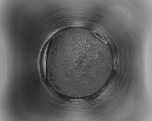X0000093620436200710221549