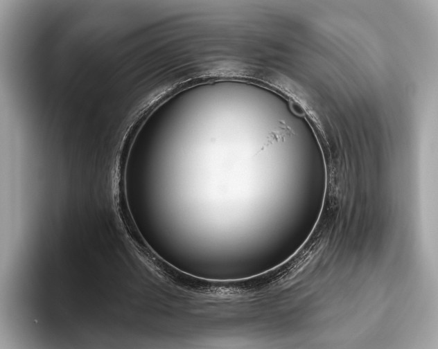 X0000093620437200710221549