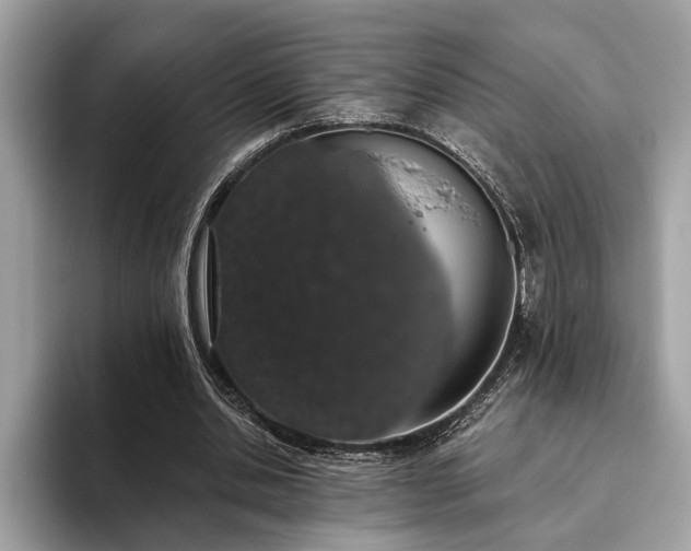 X0000093620438200710221549