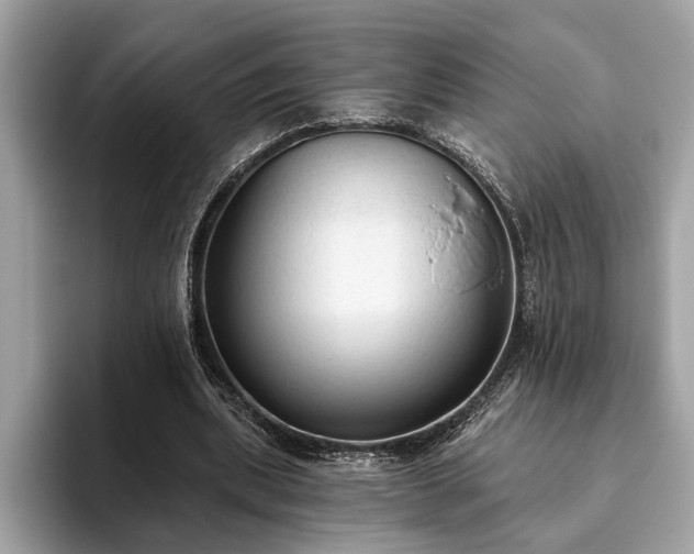 X0000093620439200710221549