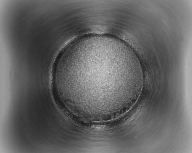 X0000093620440200710221549