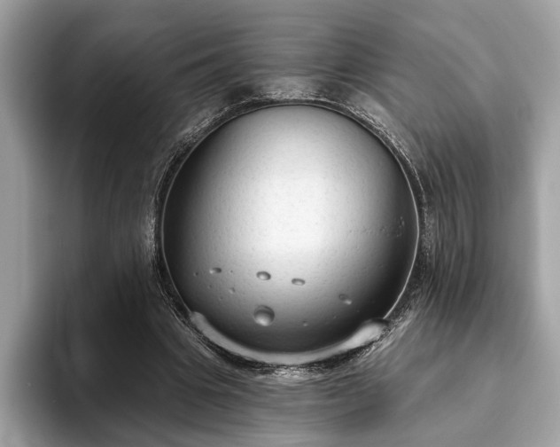 X0000093620441200710221549