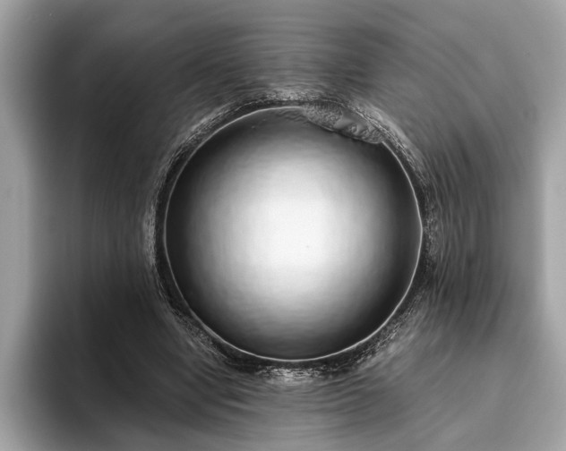X0000093620442200710221549