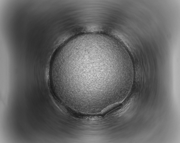 X0000093620443200710221549