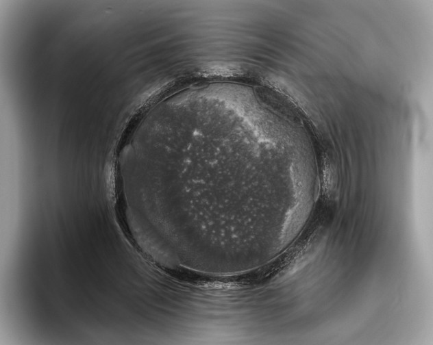 X0000093620444200710221549