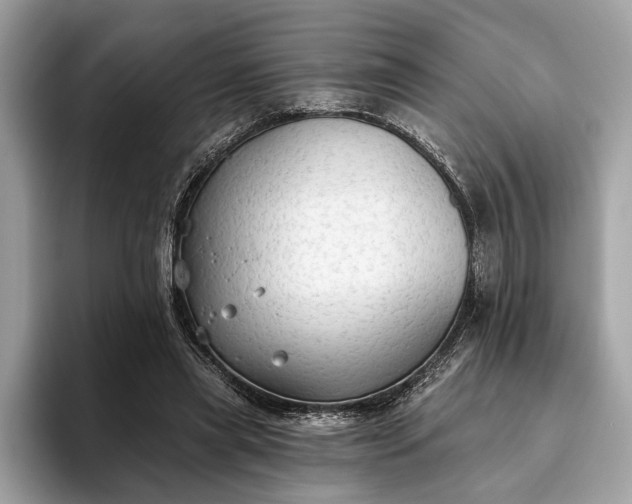X0000093620445200710221549