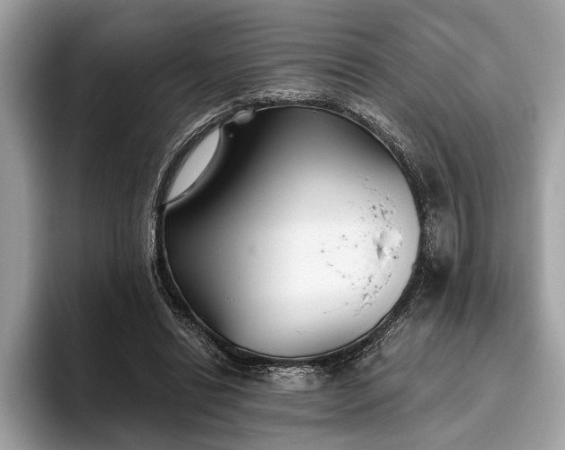 X0000093620446200710221549