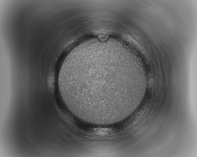 X0000093620448200710221549