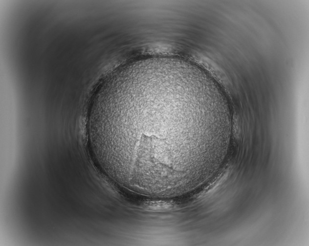 X0000093620449200710221549
