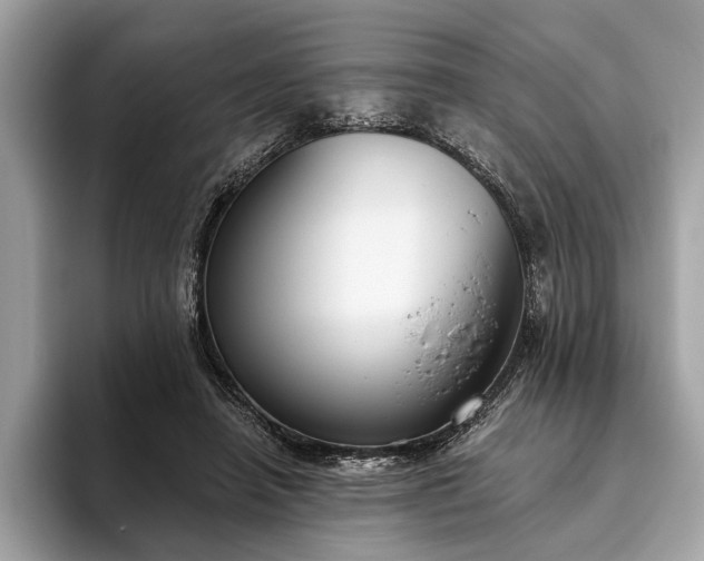 X0000093620450200710221549