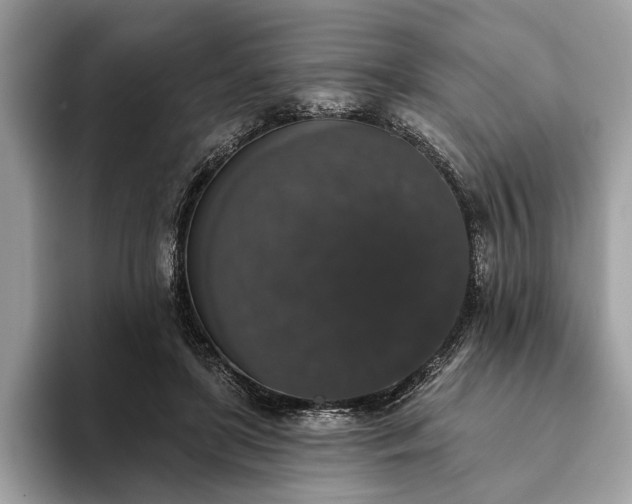 X0000093620451200710221549