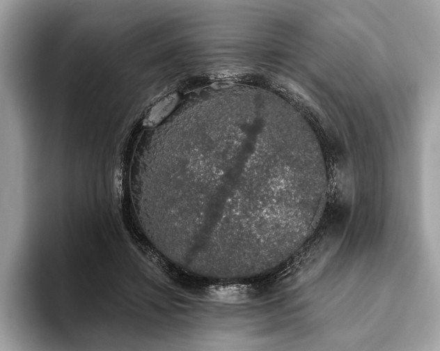 X0000093620452200710221549
