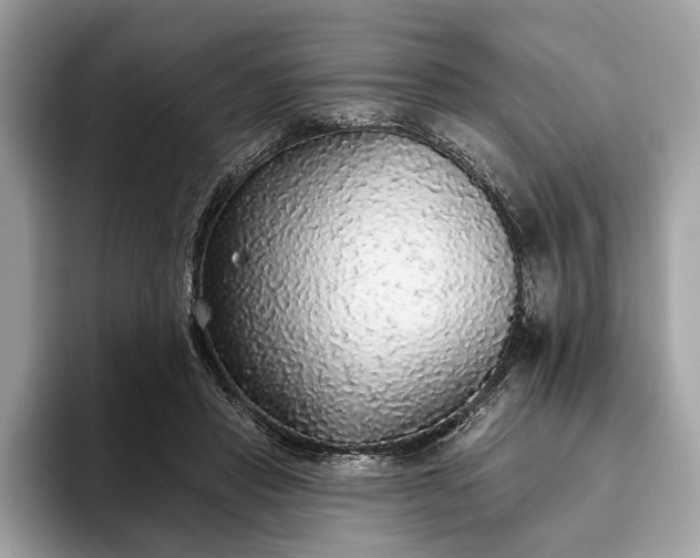 X0000093620453200710221549