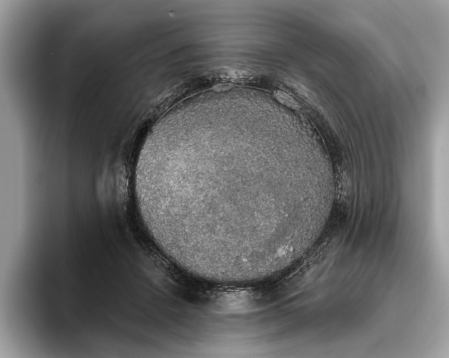 X0000093620456200710221549