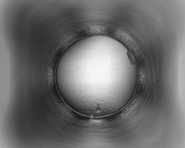 X0000093620457200710221549
