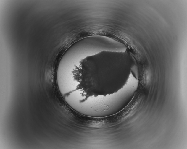 X0000093620458200710221549