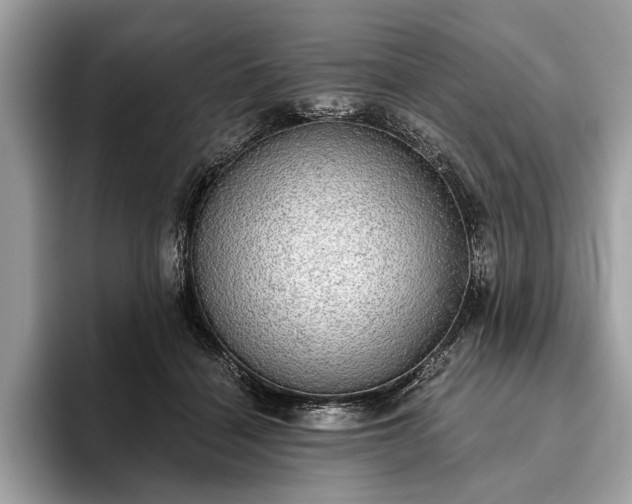 X0000093620460200710221549