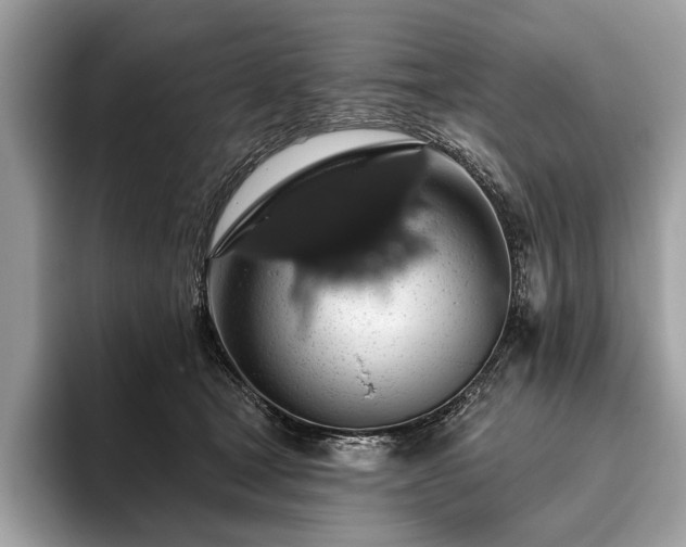 X0000093620465200710221549
