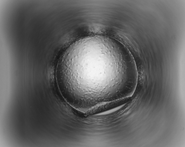 X0000093620466200710221549