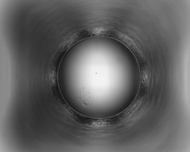 X0000093620470200710221549