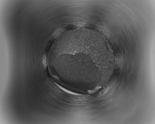 X0000093620479200710221550