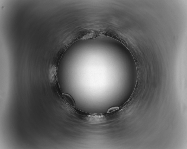X0000093620480200710221550
