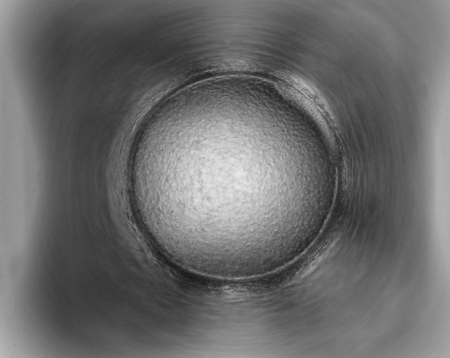 X0000093620481200710221549