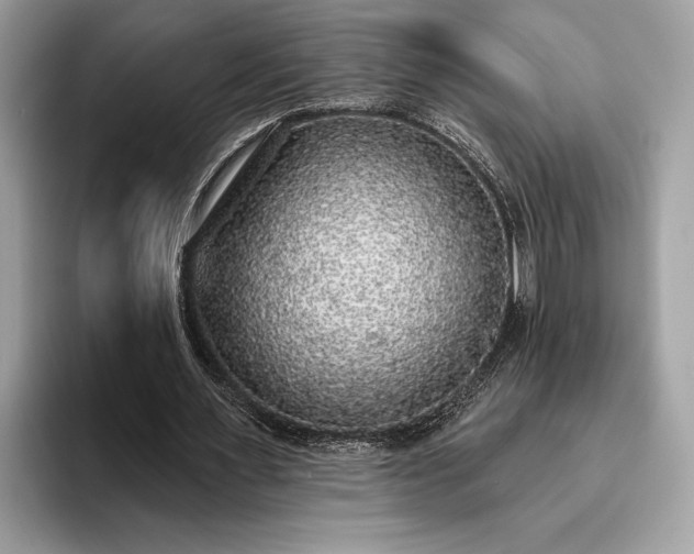X0000093620483200710221549