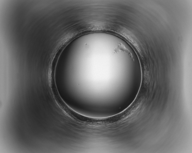X0000093620485200710221549