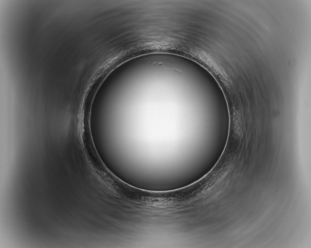 X0000093620486200710221549