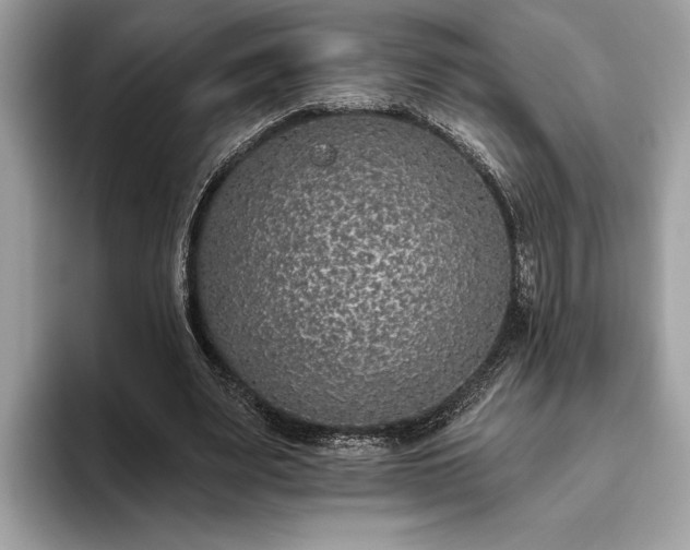 X0000093620487200710221549