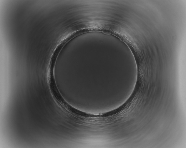 X0000093620488200710221549