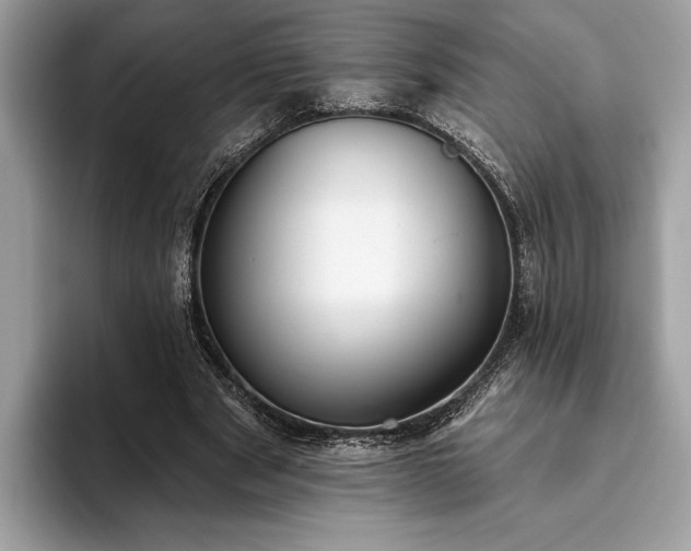 X0000093620489200710221549