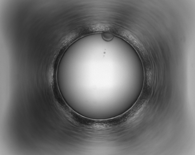 X0000093620490200710221549