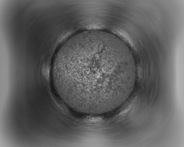 X0000093620491200710221549