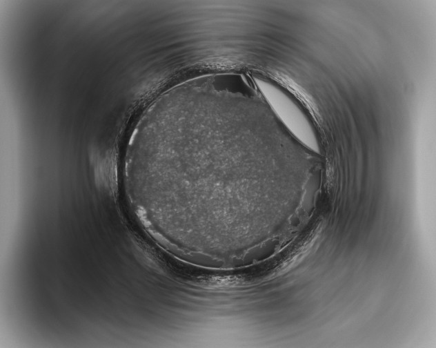 X0000093620493200710221549