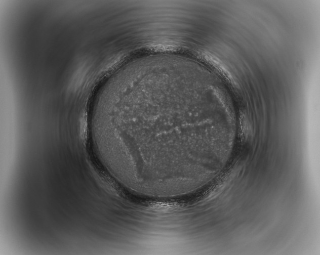 X0000093620494200710221549