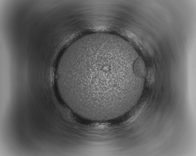 X0000093620495200710221549