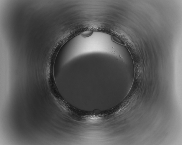 X0000093620496200710221549